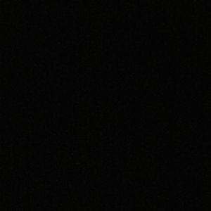 Meet your Posher, Ciara